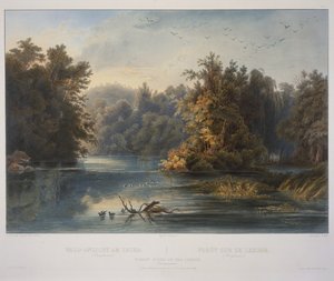 Bosscène aan de Lehigh door Karl Bodmer